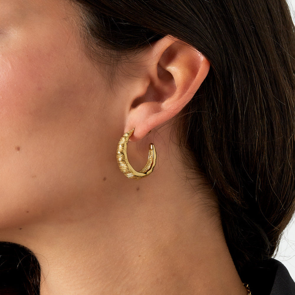 Pendientes de acero inoxidable tipo aro grueso con textura rayada acabado oro - mbyou