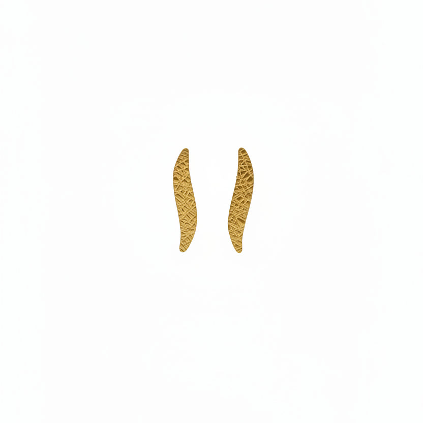 Brillis chain steel earrings